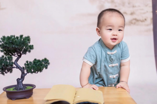 涉县可爱的企鹅宝宝